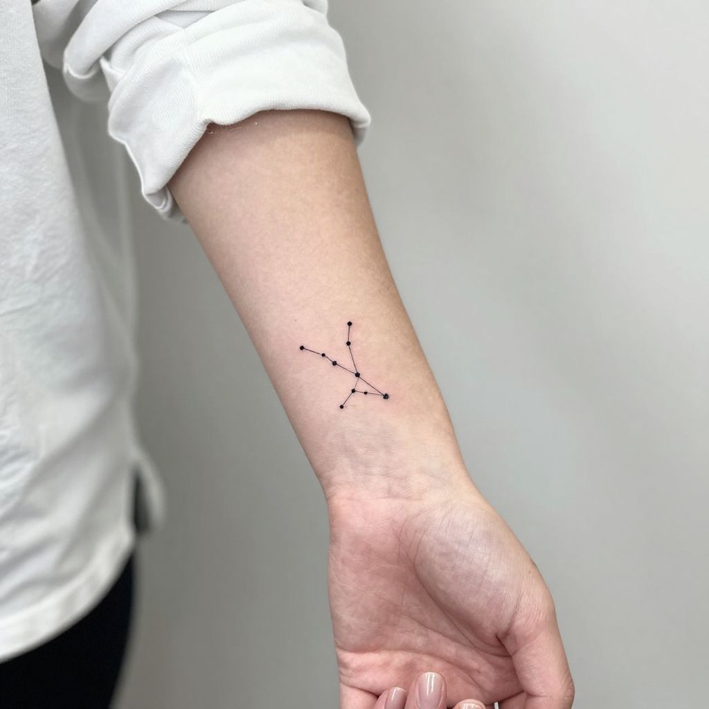 Constellation Outlines